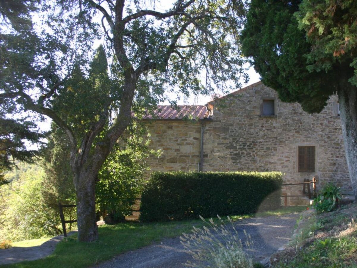 Priello, podere toscan du 1600 pour 14 personnes - Photo 2