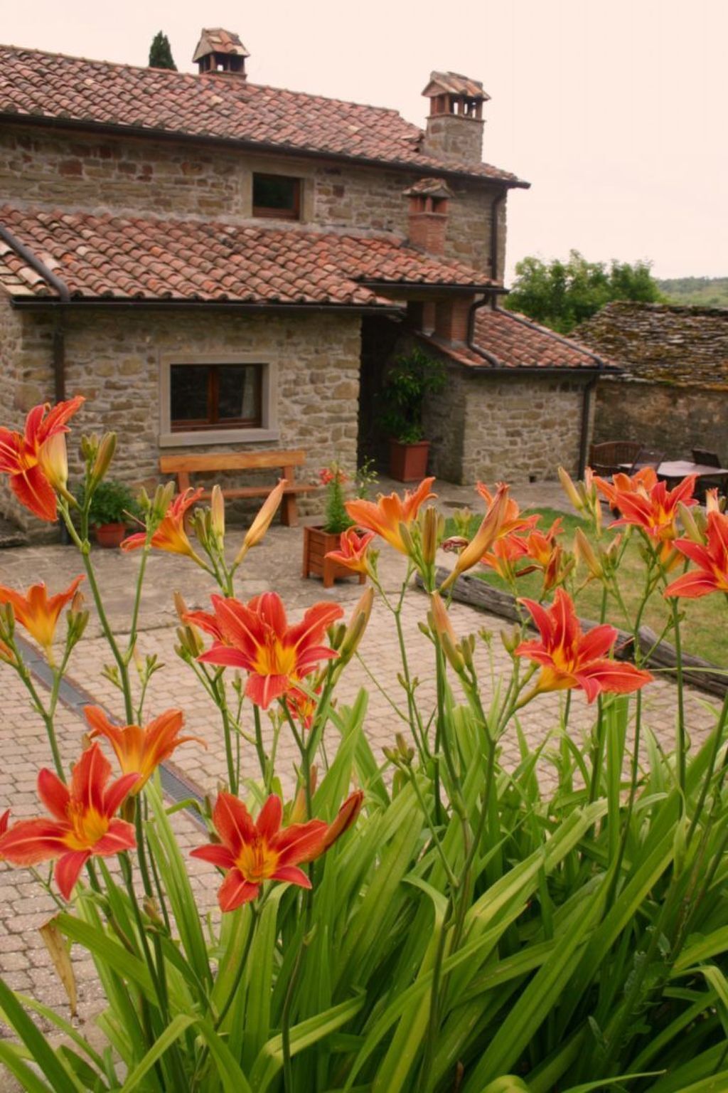 Priello, podere toscan du 1600 pour 14 personnes - Photo 10