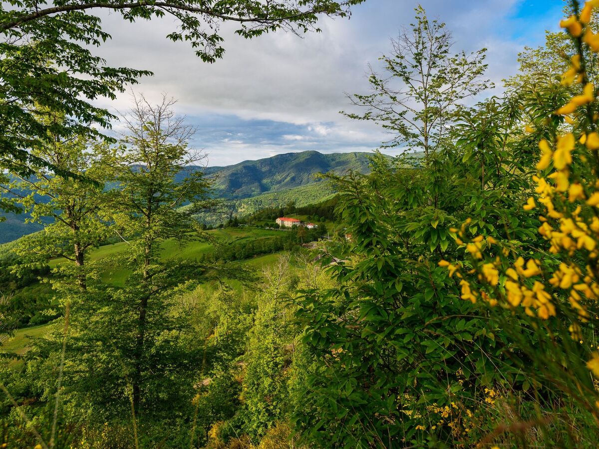 Appartement Marco - Terrasse avec vue sur la vallée de Mugello - Photo 20