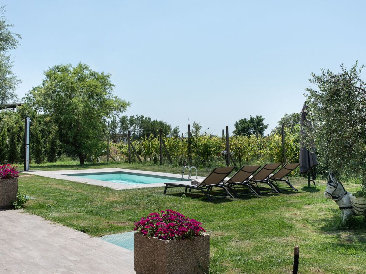 Casa di Elena – Maison Arezzo piscine privée - Photo 21