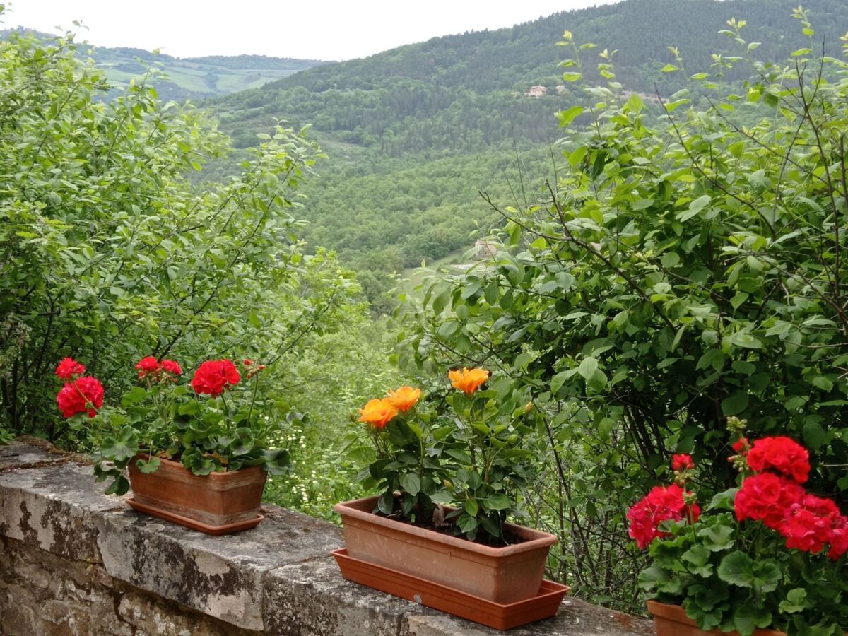 Appartement La Casina, Radicondoli - Jardin privé et piscine - Photo 8