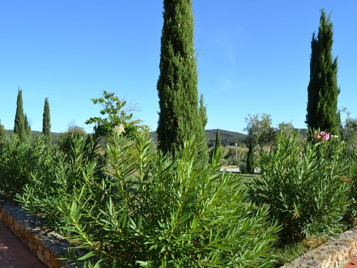 Appartement 1 chambre avec jardin à Campiglia Marittima - Photo 39