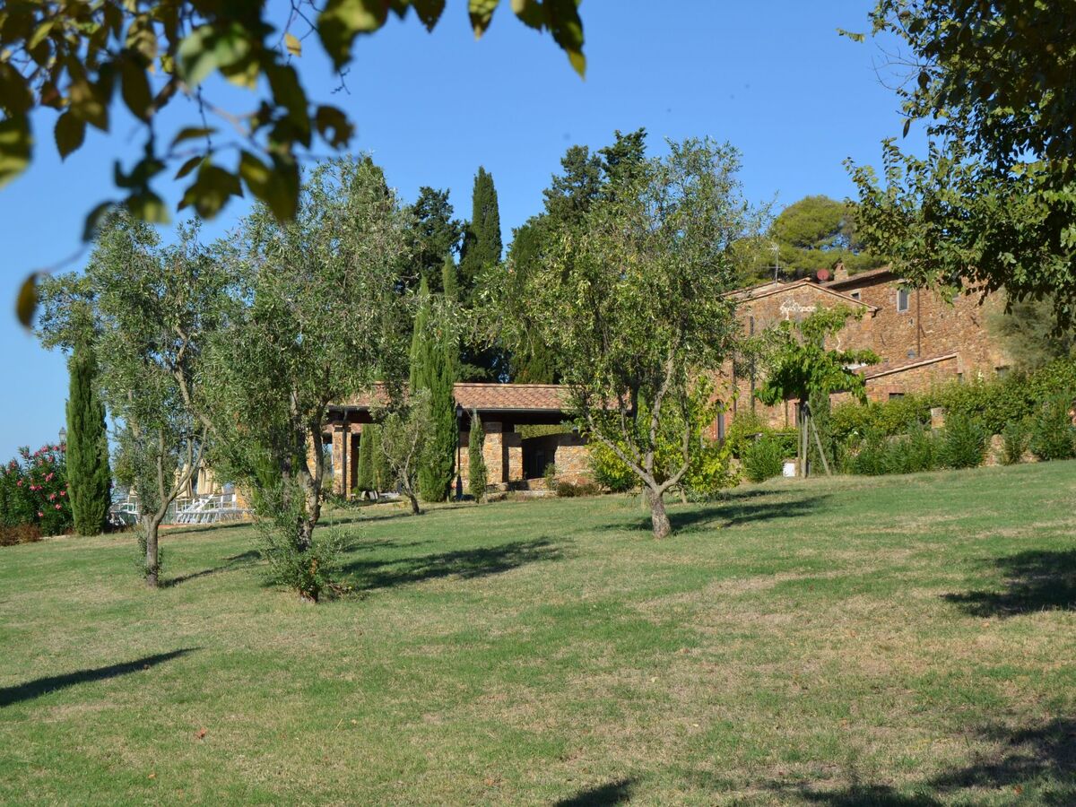 Appartement 1 chambre avec jardin à Campiglia Marittima - Photo 40