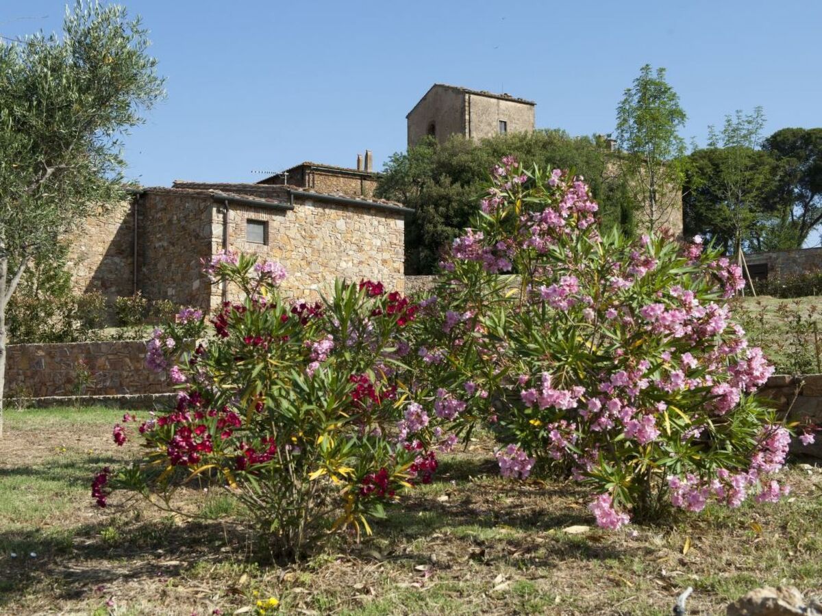 Appartement 1 chambre à Campiglia Marittima, vue panoramique - Photo 24