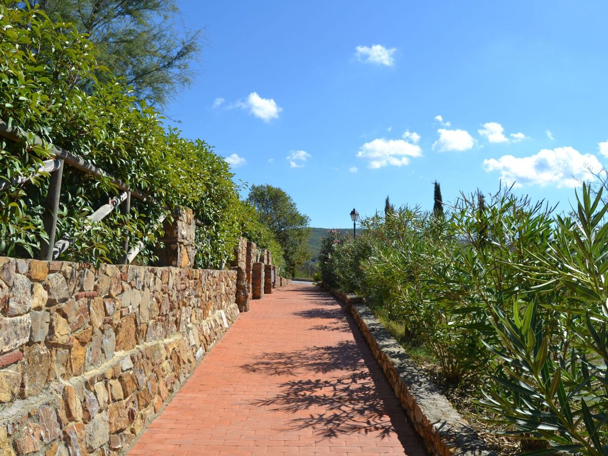 Appartement 3 pièces avec jardin panoramique à Campiglia Marittima - Photo 35
