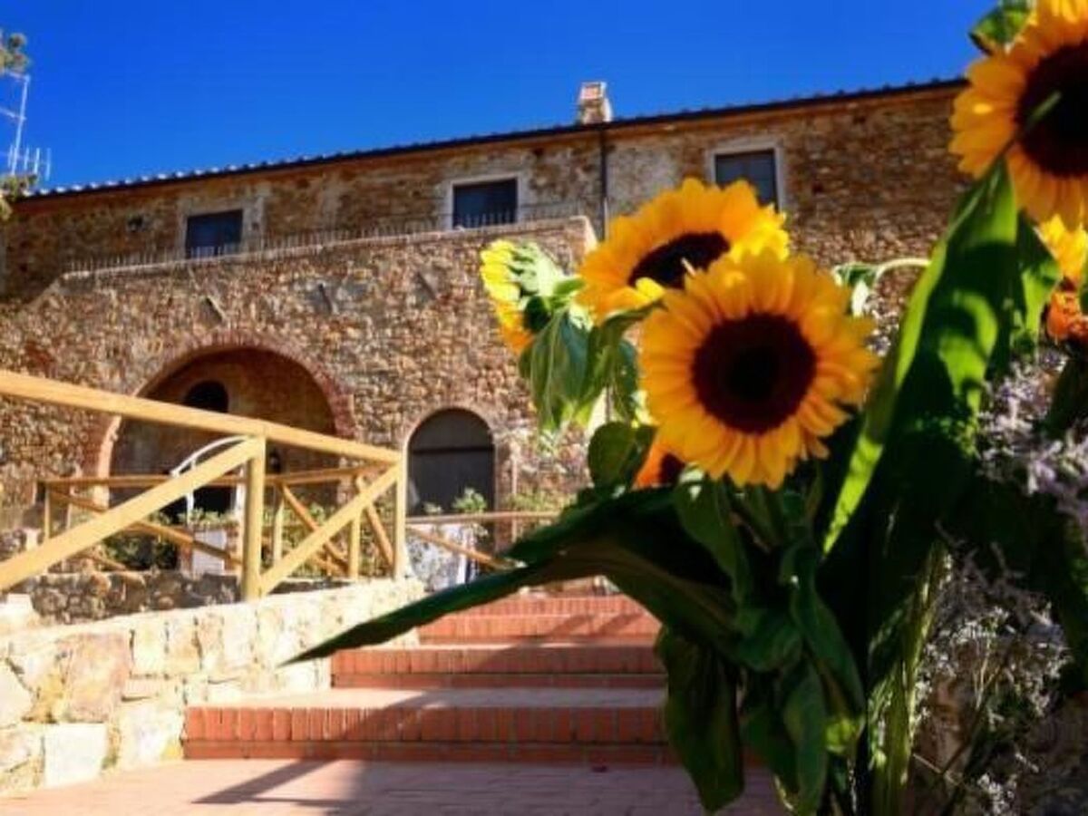 Appartement 3 pièces avec jardin panoramique à Campiglia Marittima - Photo 49