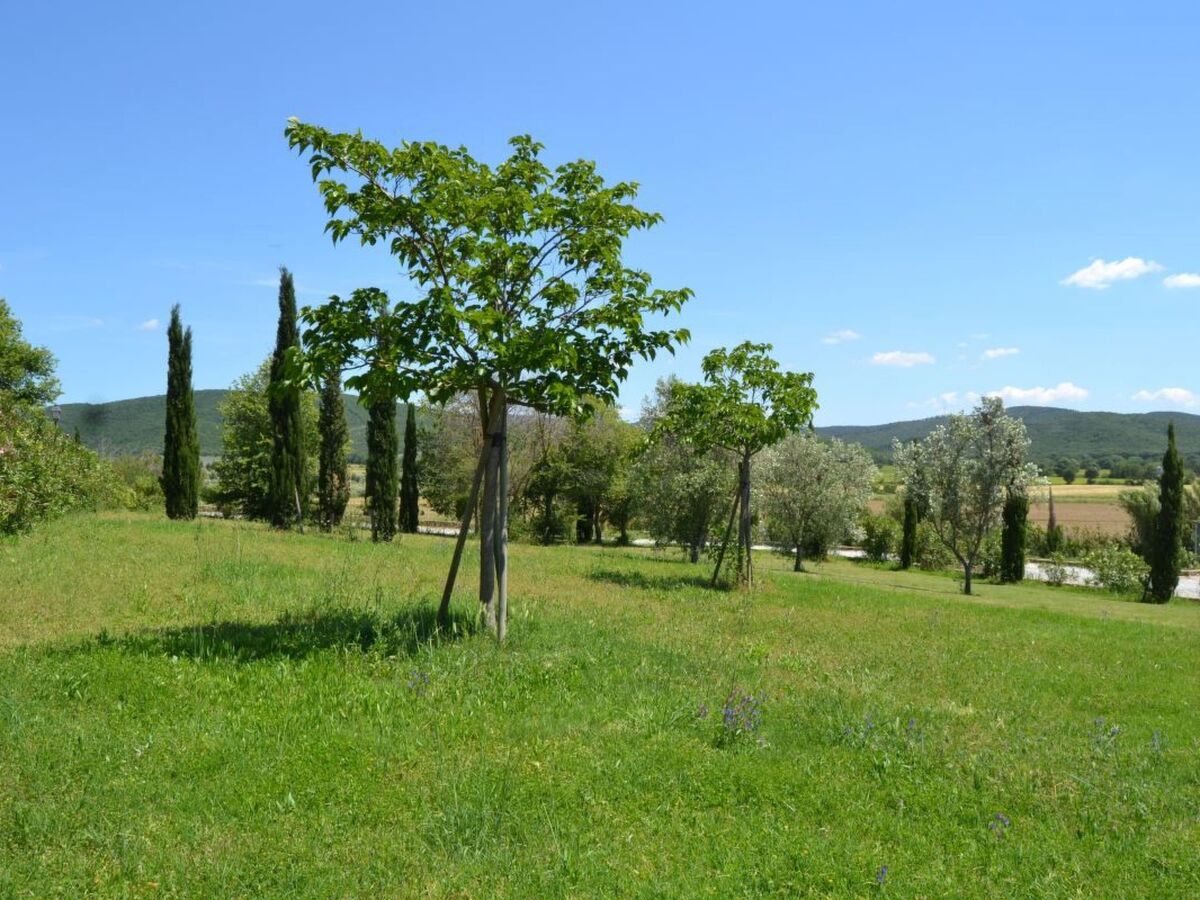 Appartement mansardé Campiglia Marittima, vue panoramique - Photo 36