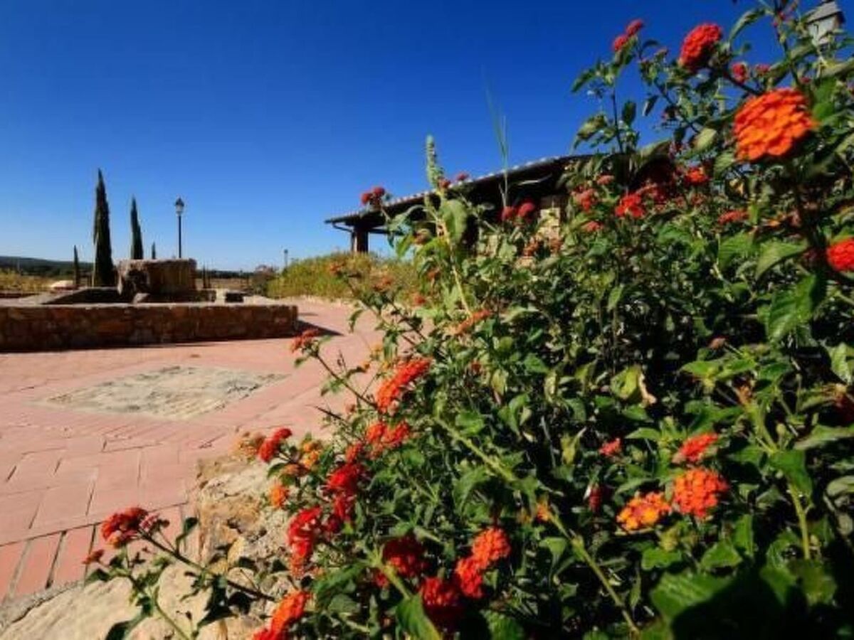 Appartement mansardé Campiglia Marittima, vue panoramique - Photo 55