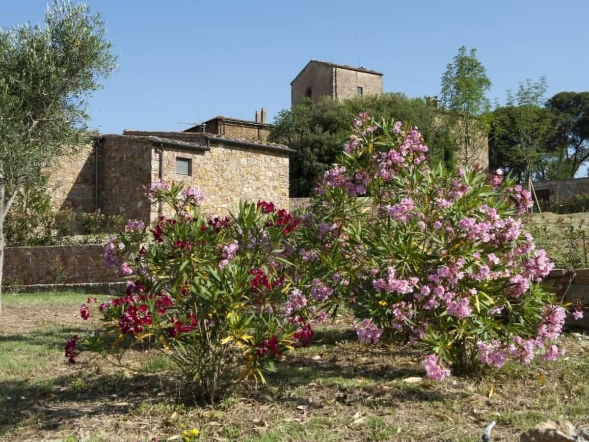 Maisonette avec jardin privé à Campiglia Marittima - Photo 27