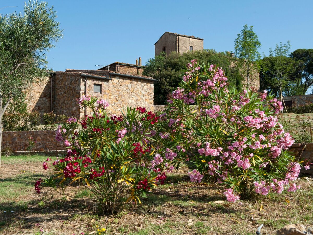Maisonette avec jardin privé à Campiglia Marittima - Photo 32
