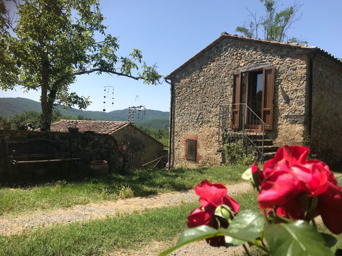 Maison toscane 4 ha, piscine infinie et oliviers - Photo 1