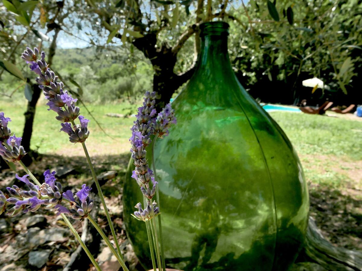 Maison toscane 4 ha, piscine infinie et oliviers - Photo 6