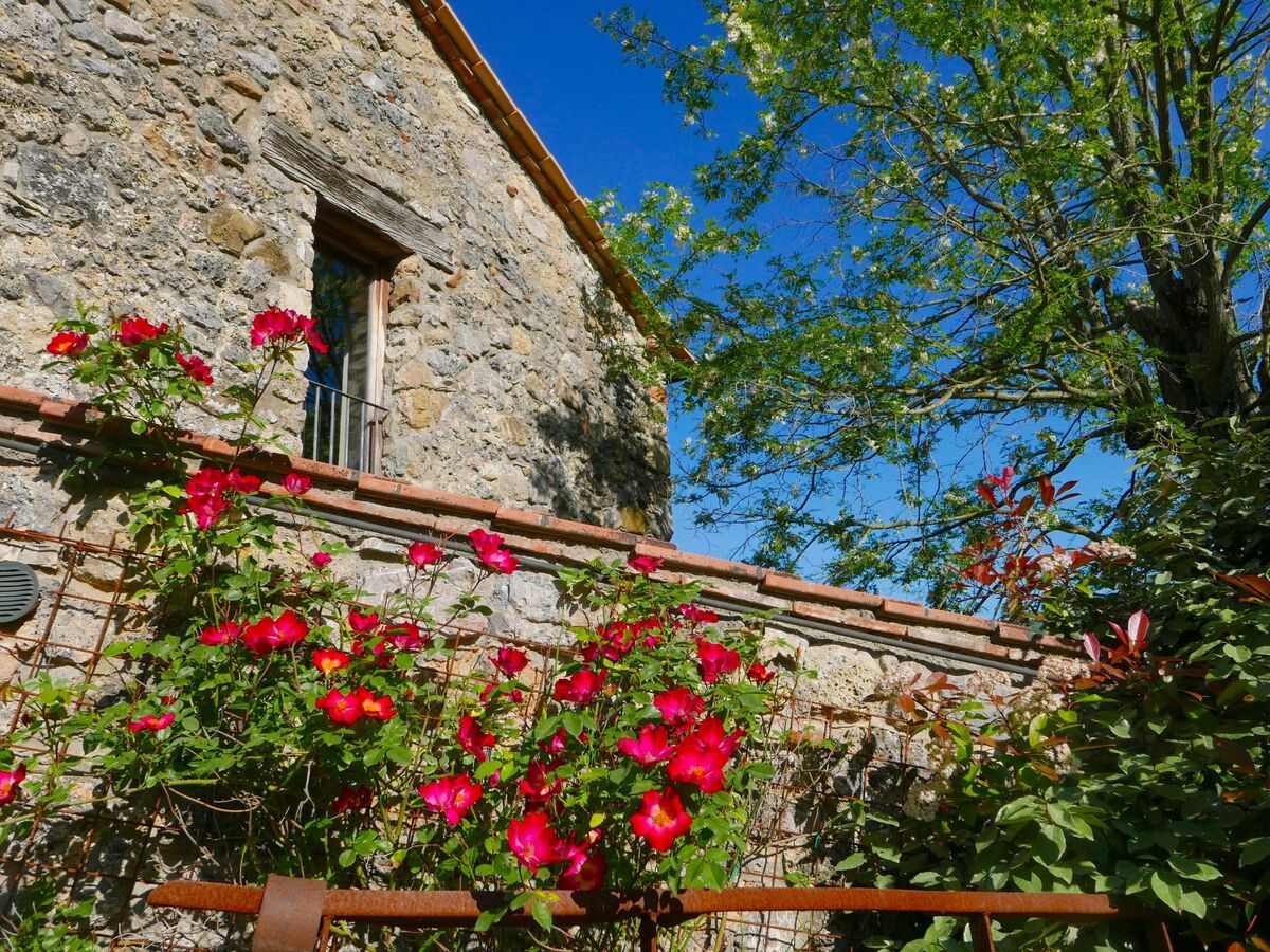 Maison toscane 4 ha, piscine infinie et oliviers - Photo 10