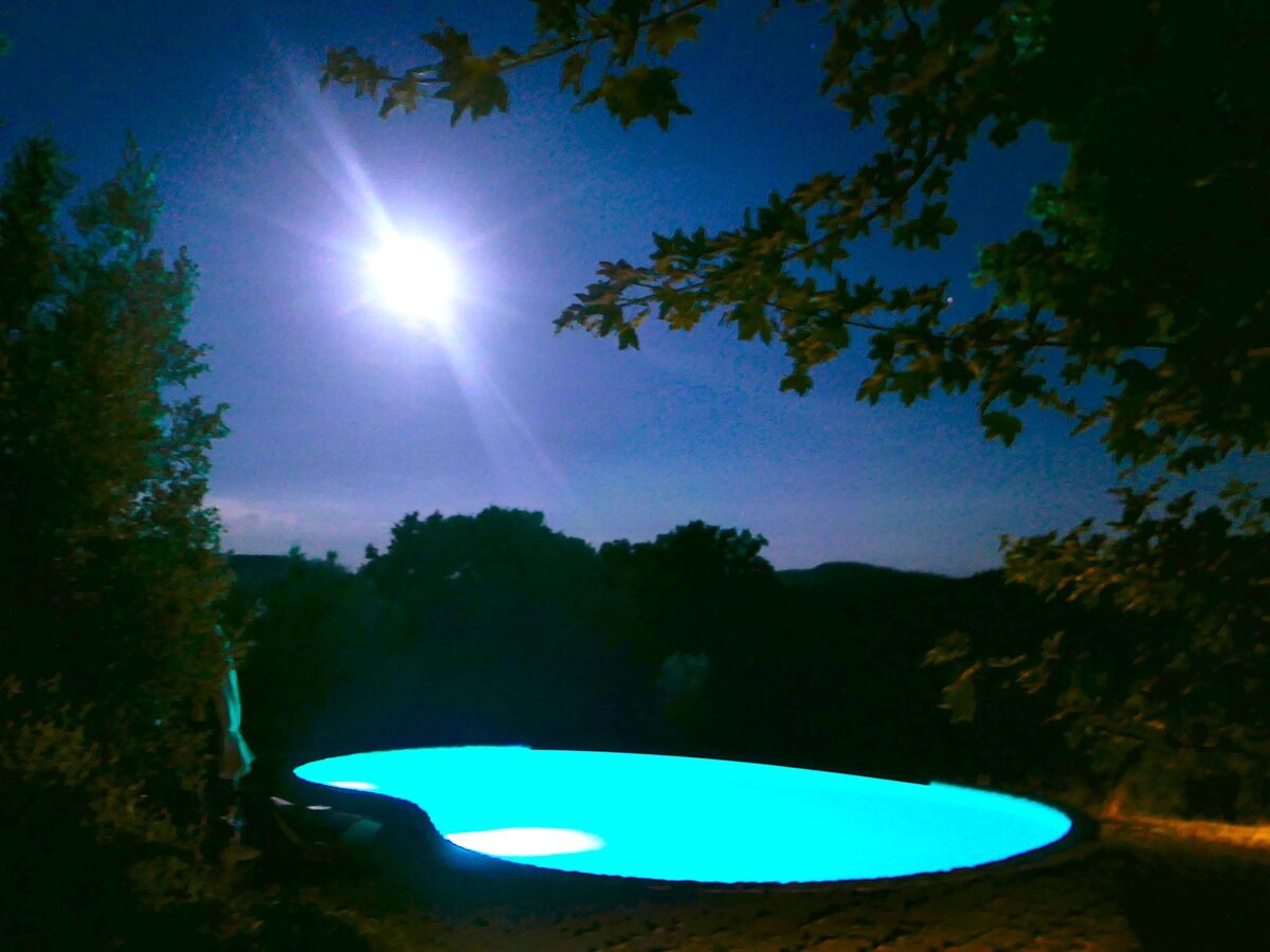 Maison toscane 4 ha, piscine infinie et oliviers - Photo 11