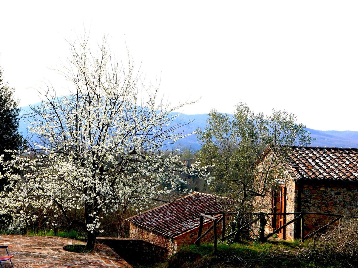 Maison toscane 4 ha, piscine infinie et oliviers - Photo 12