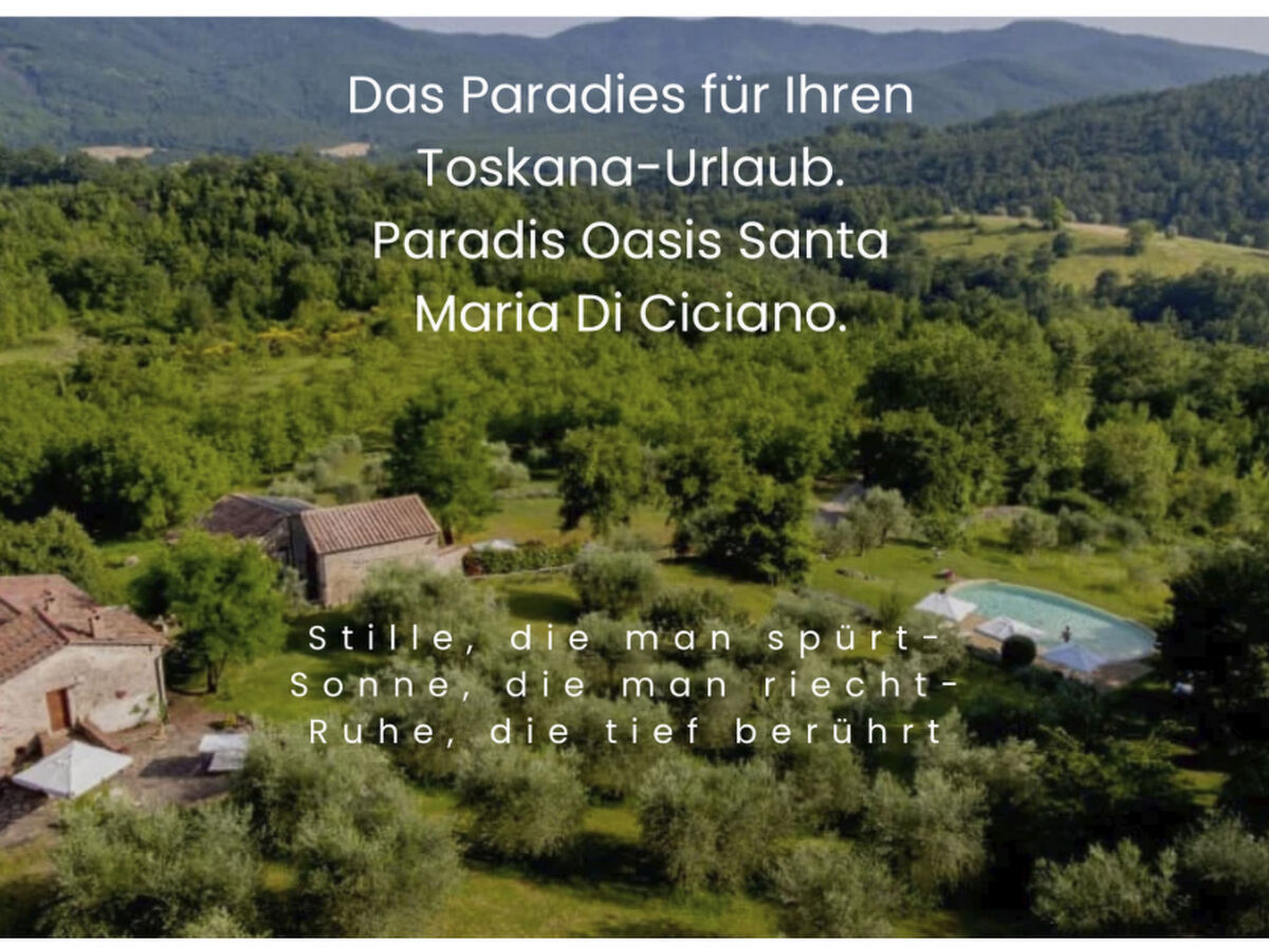 Maison toscane 4 ha, piscine infinie et oliviers - Photo 36