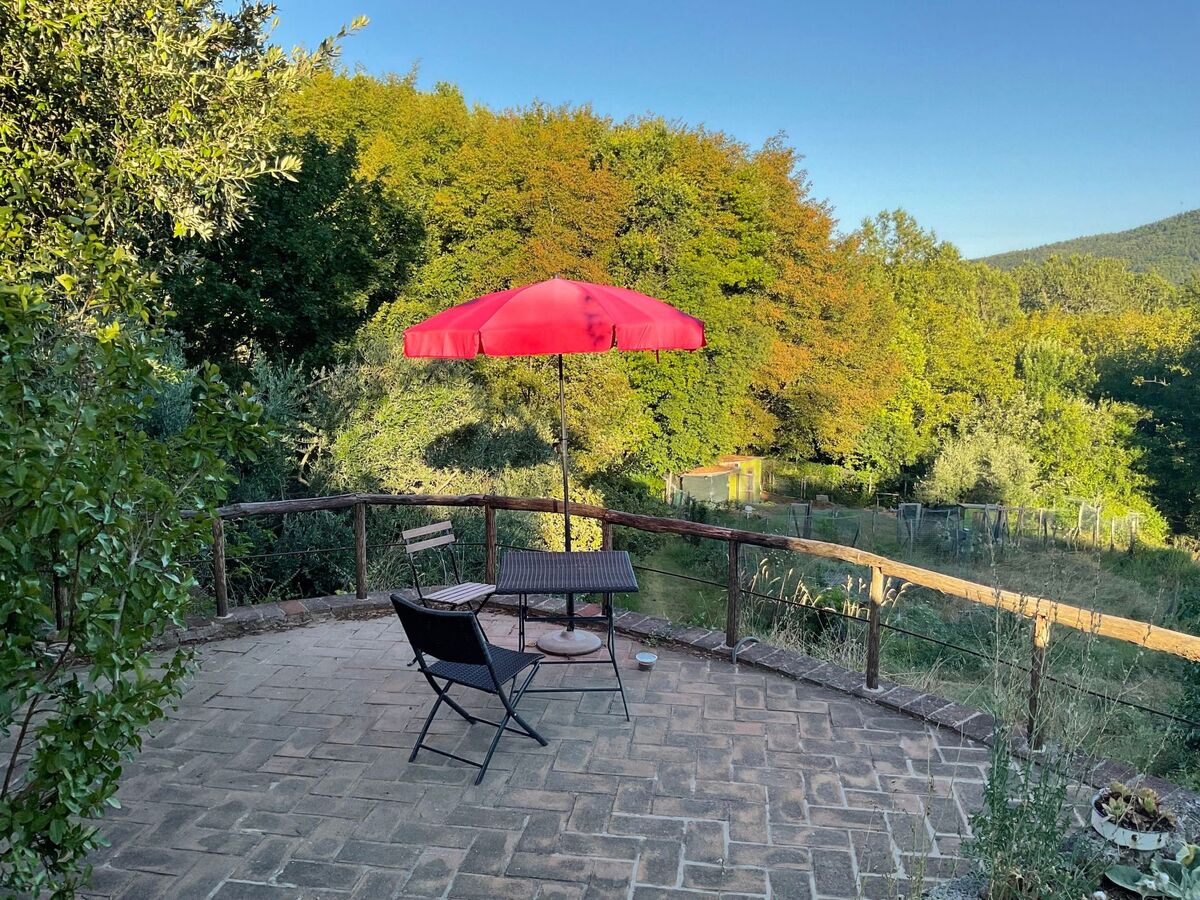 Maison toscane 4 ha, piscine infinie et oliviers - Photo 51