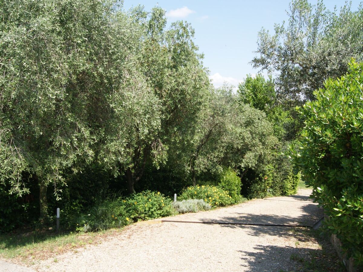 Appartement 8 pers. en Toscane, piscine et parking privé - Photo 34