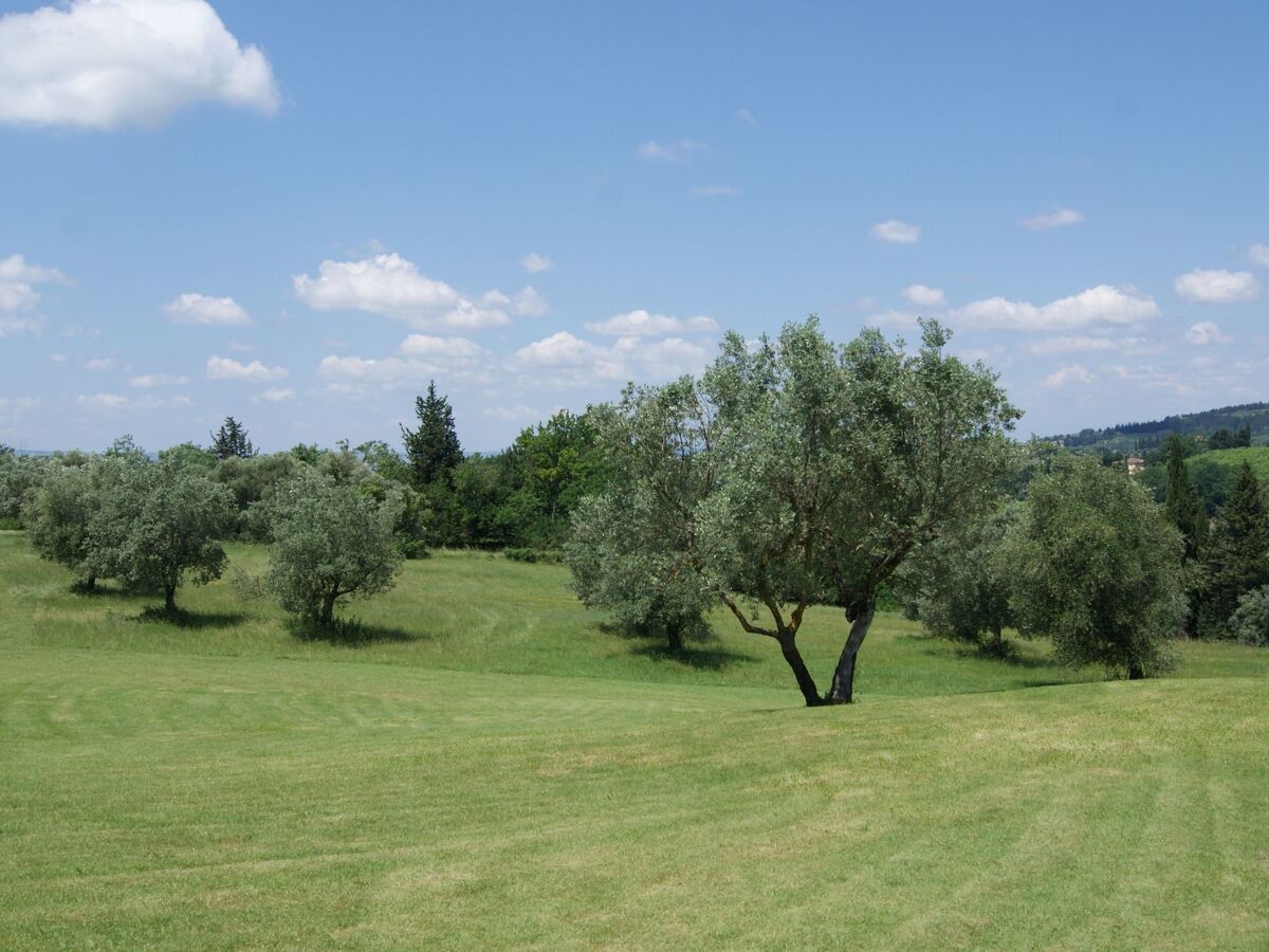 Appartement 8 pers. en Toscane, piscine et parking privé - Photo 42