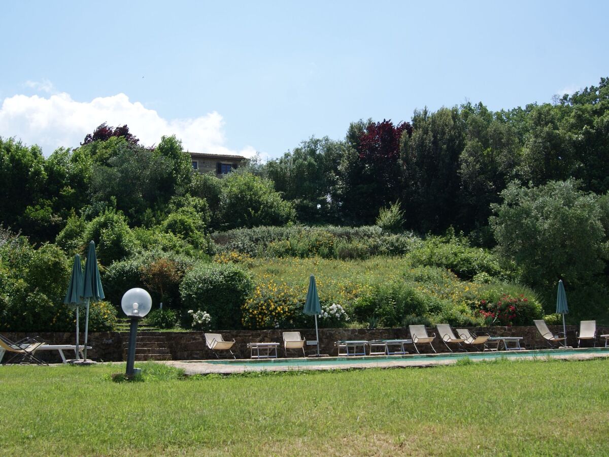 Appartement 8 pers. en Toscane, piscine et parking privé - Photo 44