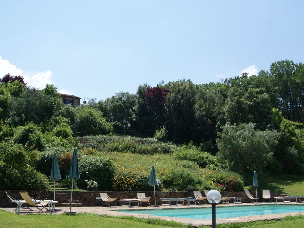 Appartement 8 pers. en Toscane, piscine et parking privé - Photo 45