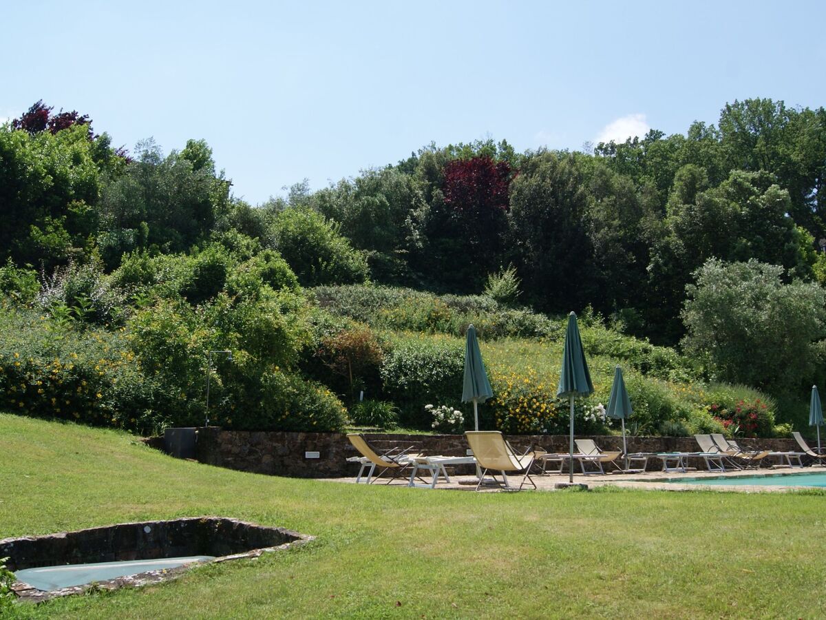 Appartement 8 pers. en Toscane, piscine et parking privé - Photo 46