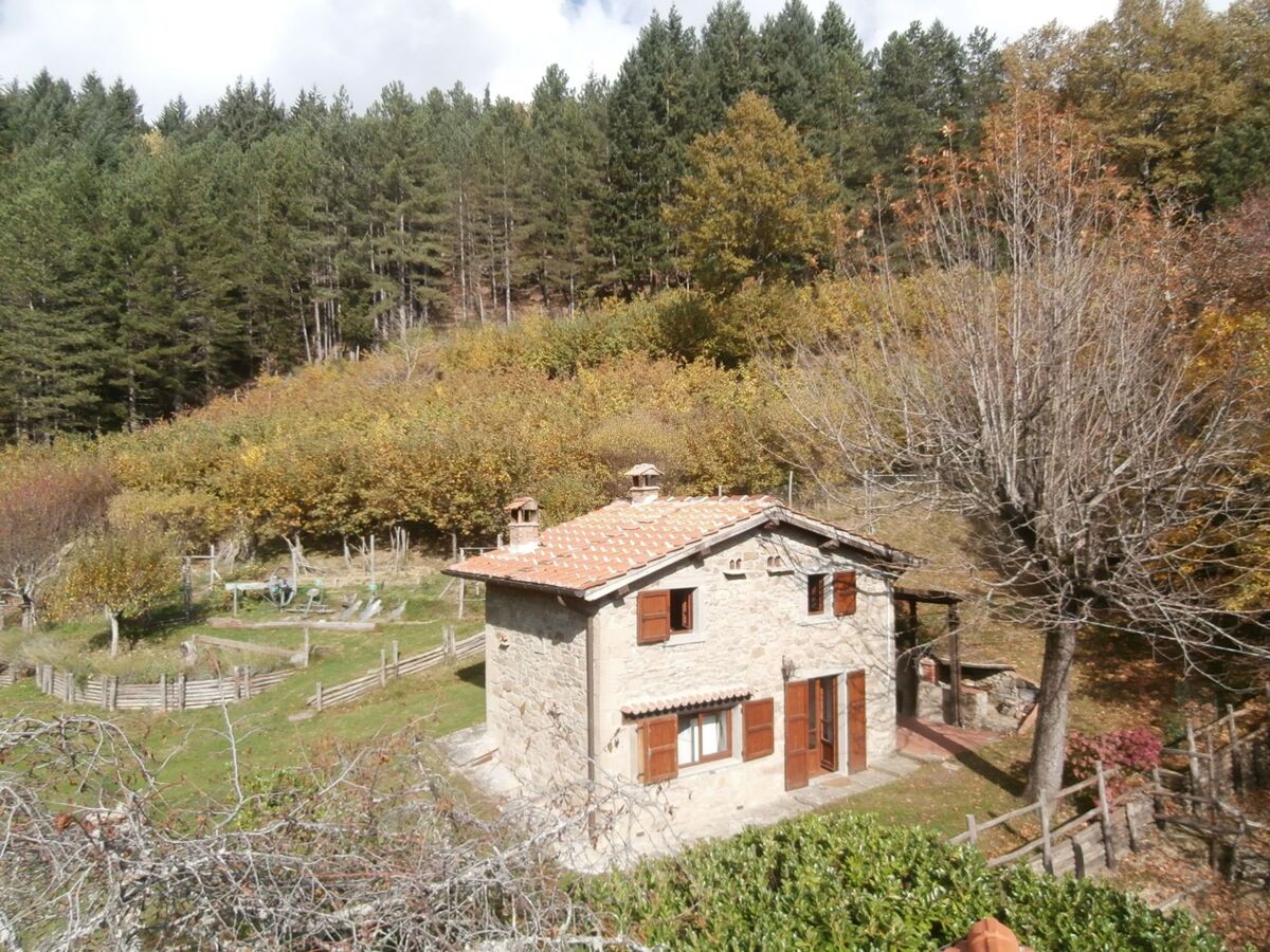 Maison de ferme rénovée à Capolona, piscine et jardin - Photo 1