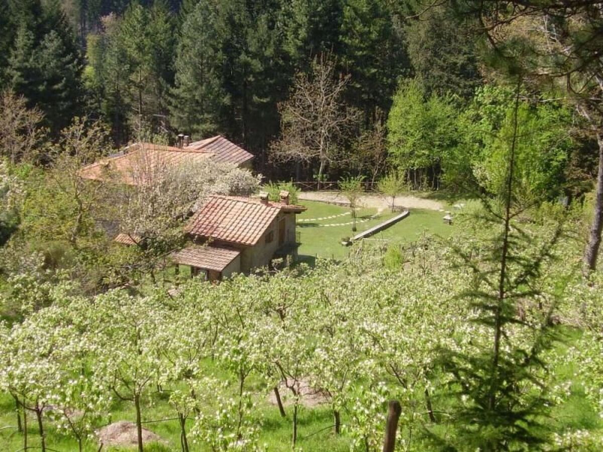 Maison de ferme rénovée à Capolona, piscine et jardin - Photo 12