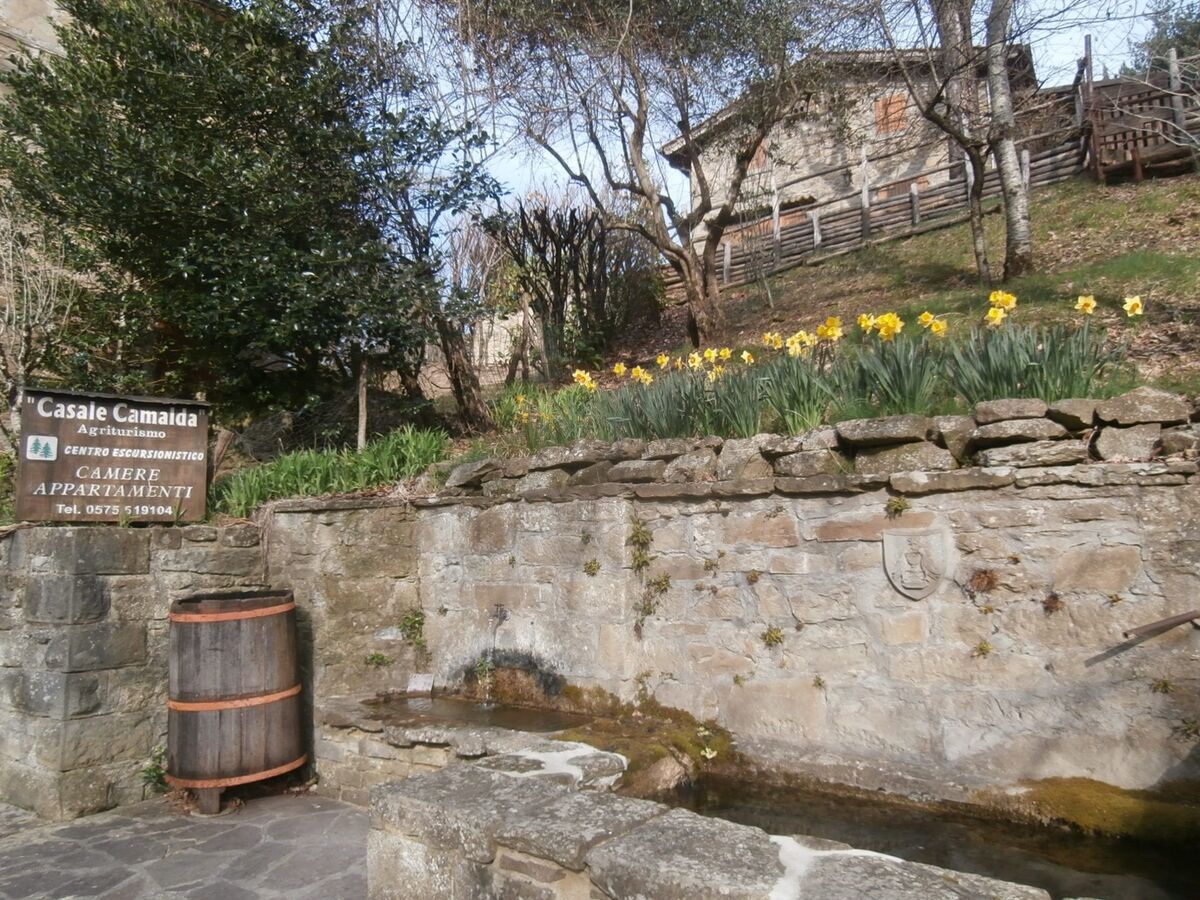 Maison de ferme rénovée à Capolona, piscine et jardin - Photo 25