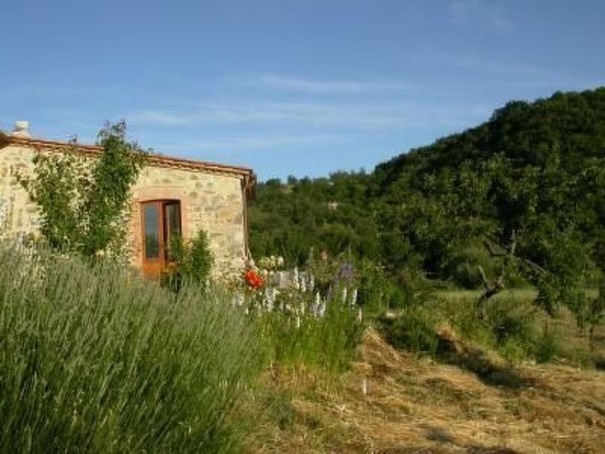 Casa Cardeta, maison en pierre d'Arcidosso - Photo 6
