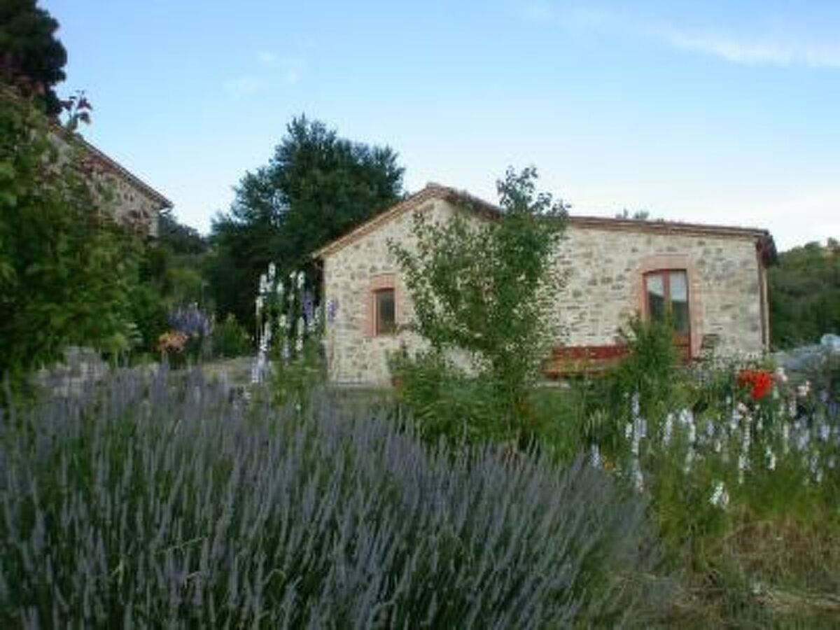 Casa Cardeta, maison en pierre d'Arcidosso - Photo 9