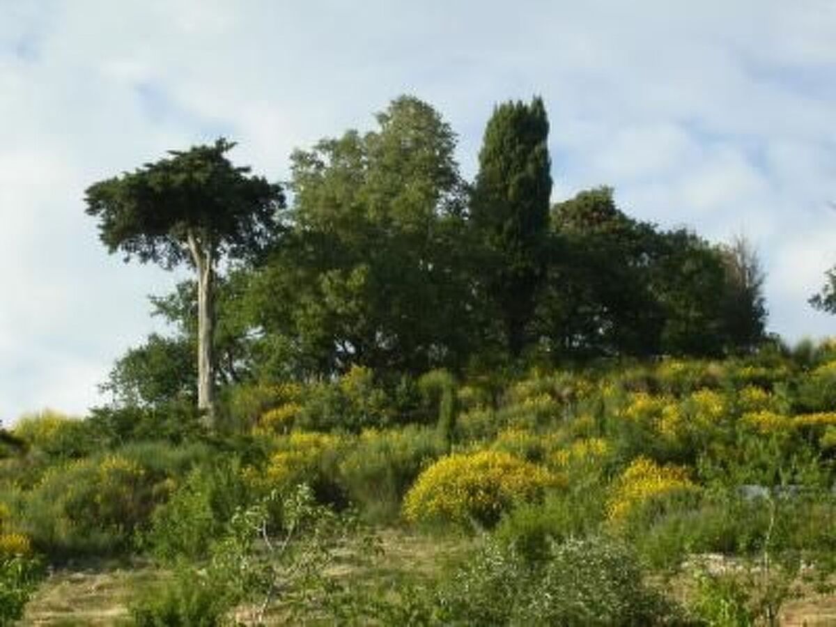 Casa Cardeta, maison en pierre d'Arcidosso - Photo 13