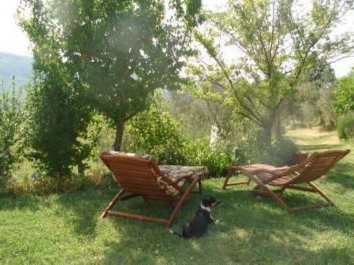 Casa Cardeta - Appartement 3 pers. à Arcidosso - Photo 6