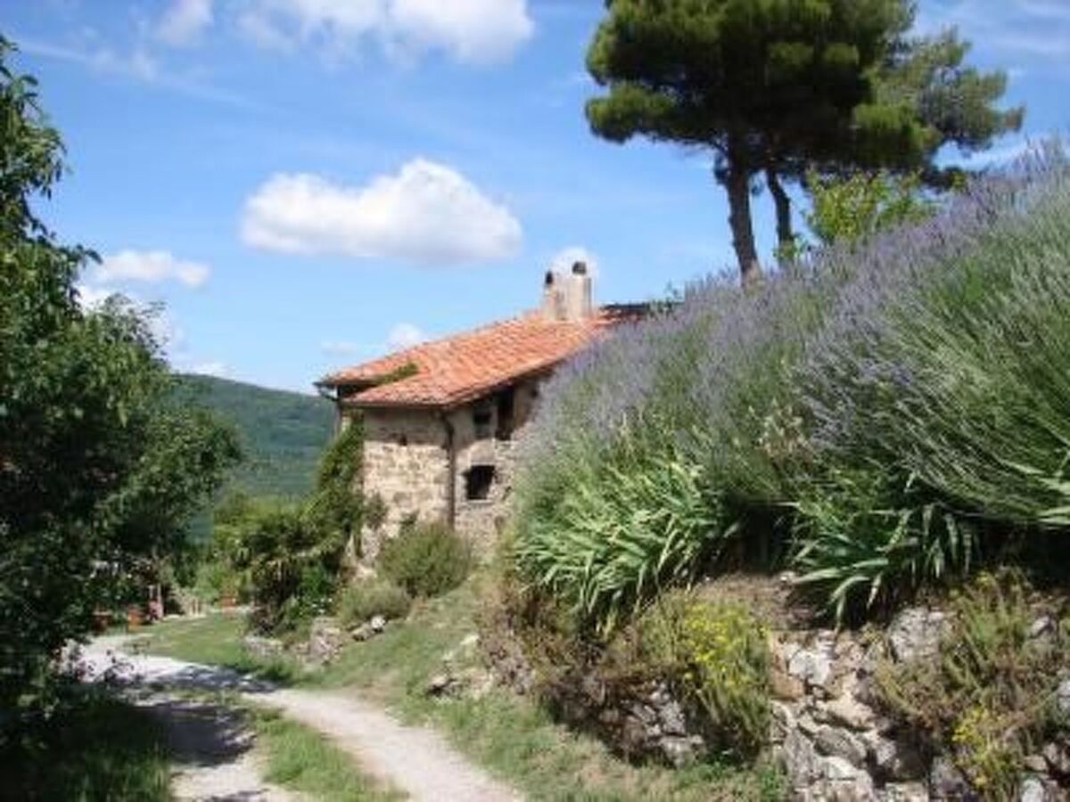 Casa Cardeta - Appartement 3 pers. à Arcidosso - Photo 17