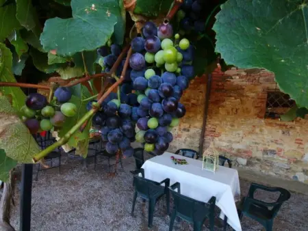 Location appartement à Castiglione del Lago, Wohnung in Castiglione Del Lago mit Terrasse, Garten und Grill