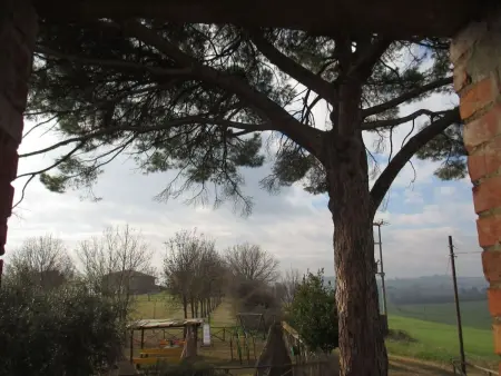 Appartement Castiglione del Lago, terrasse privée et piscine : photo 38