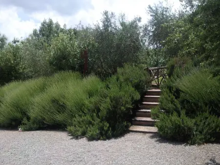 Appartement Castiglione del Lago, terrasse privée et piscine : photo 52
