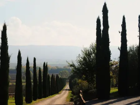 Location appartement à Castiglione del Lago, Appartement in Castiglione Del Lago mit Terrasse, gemeinsamem Pool und Garten