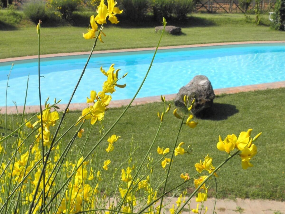 Appartement Meridiana à Monteleone d'Orvieto, piscine - Photo 2