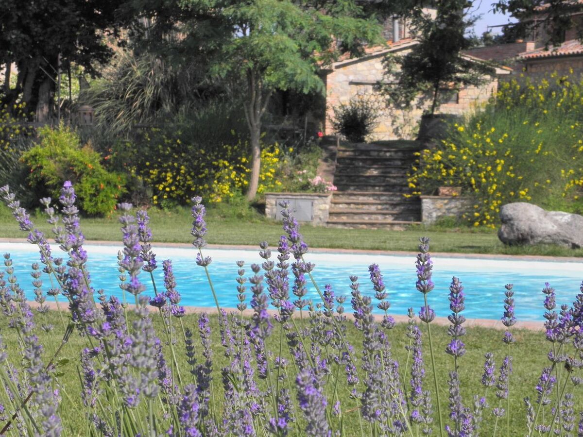 Appartement Meridiana à Monteleone d'Orvieto, piscine - Photo 4