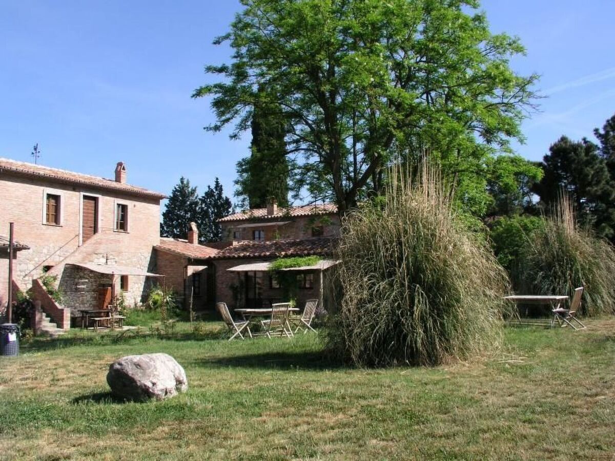 Gallo Nero – Appartement 5 pers. près du lac Trasimène - Photo 3