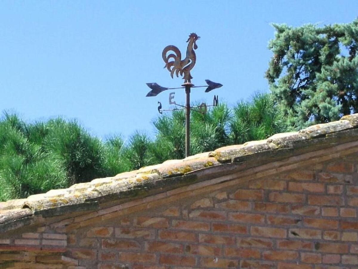 Gallo Nero – Appartement 5 pers. près du lac Trasimène - Photo 4