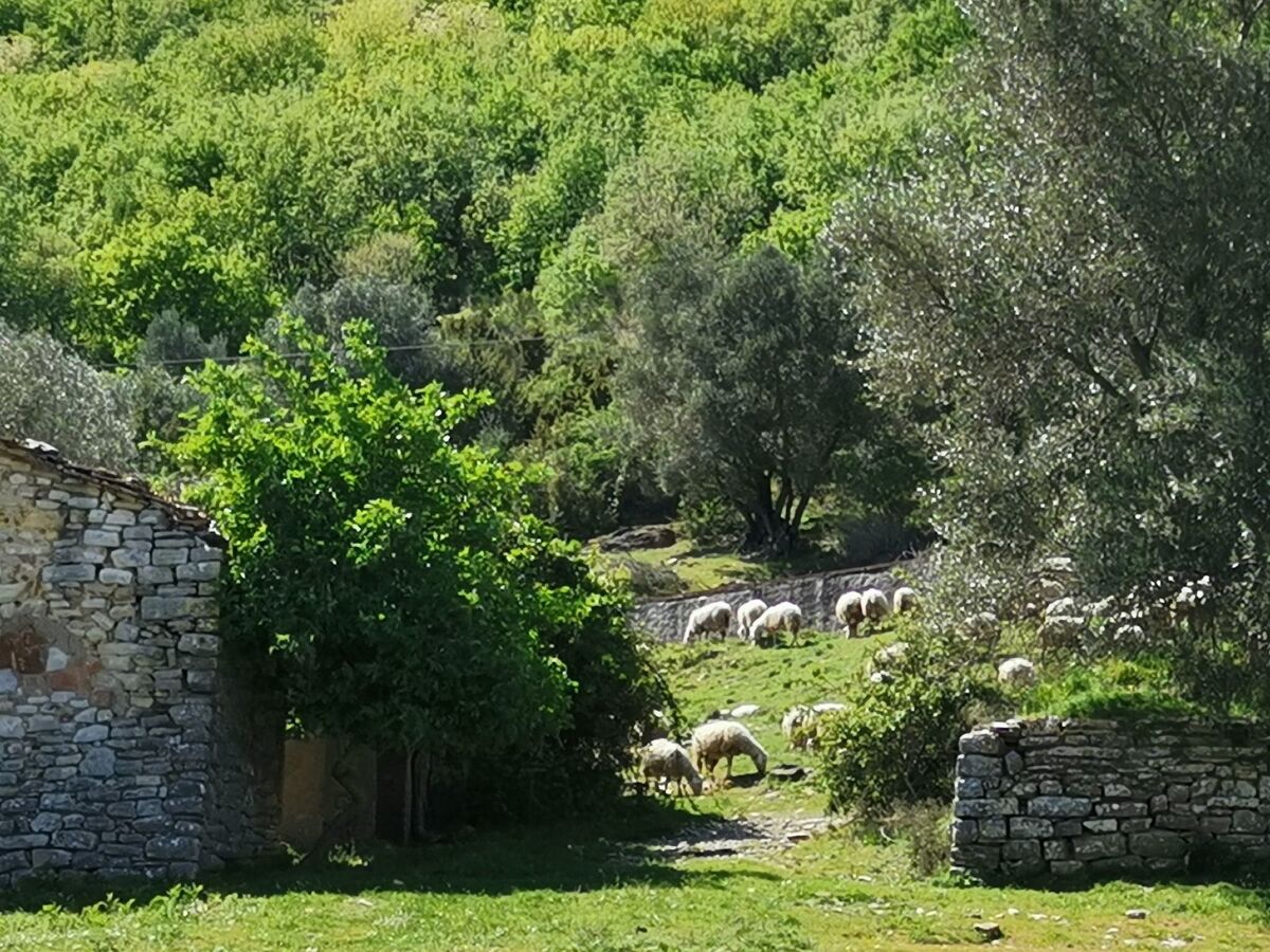 Ariete – Suite 100m² en agriturismo à Montone - Photo 8