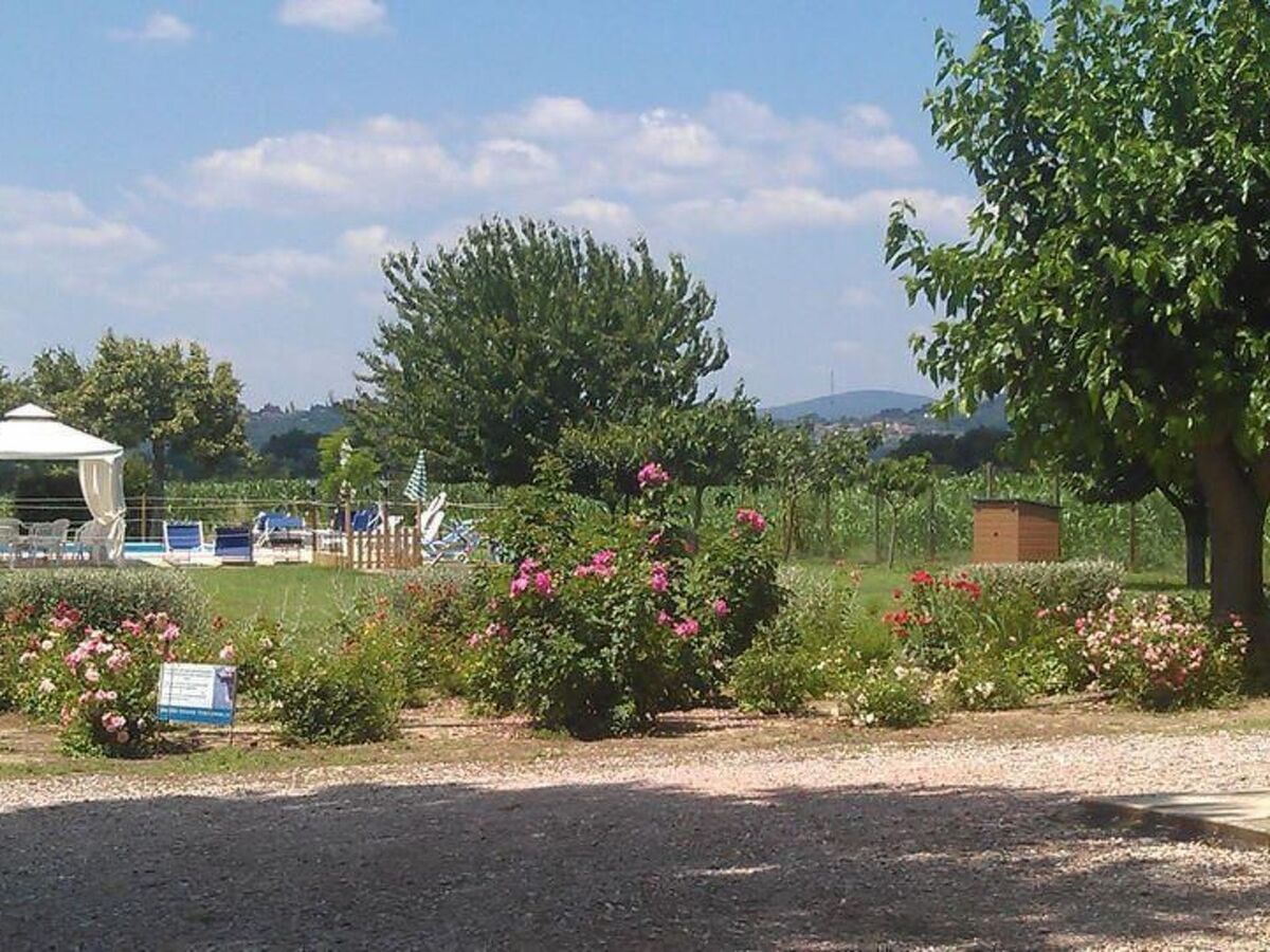 Appartement 5 pers. à Torgiano avec piscine et jardin privé - Photo 20