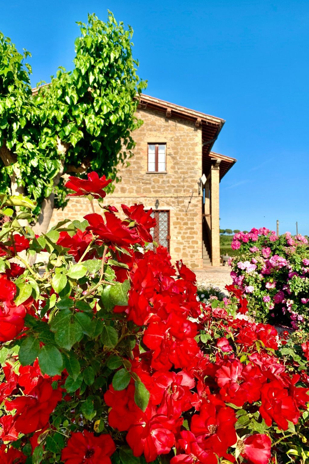 Appartement 5 pers. à Torgiano avec piscine et jardin privé - Photo 35