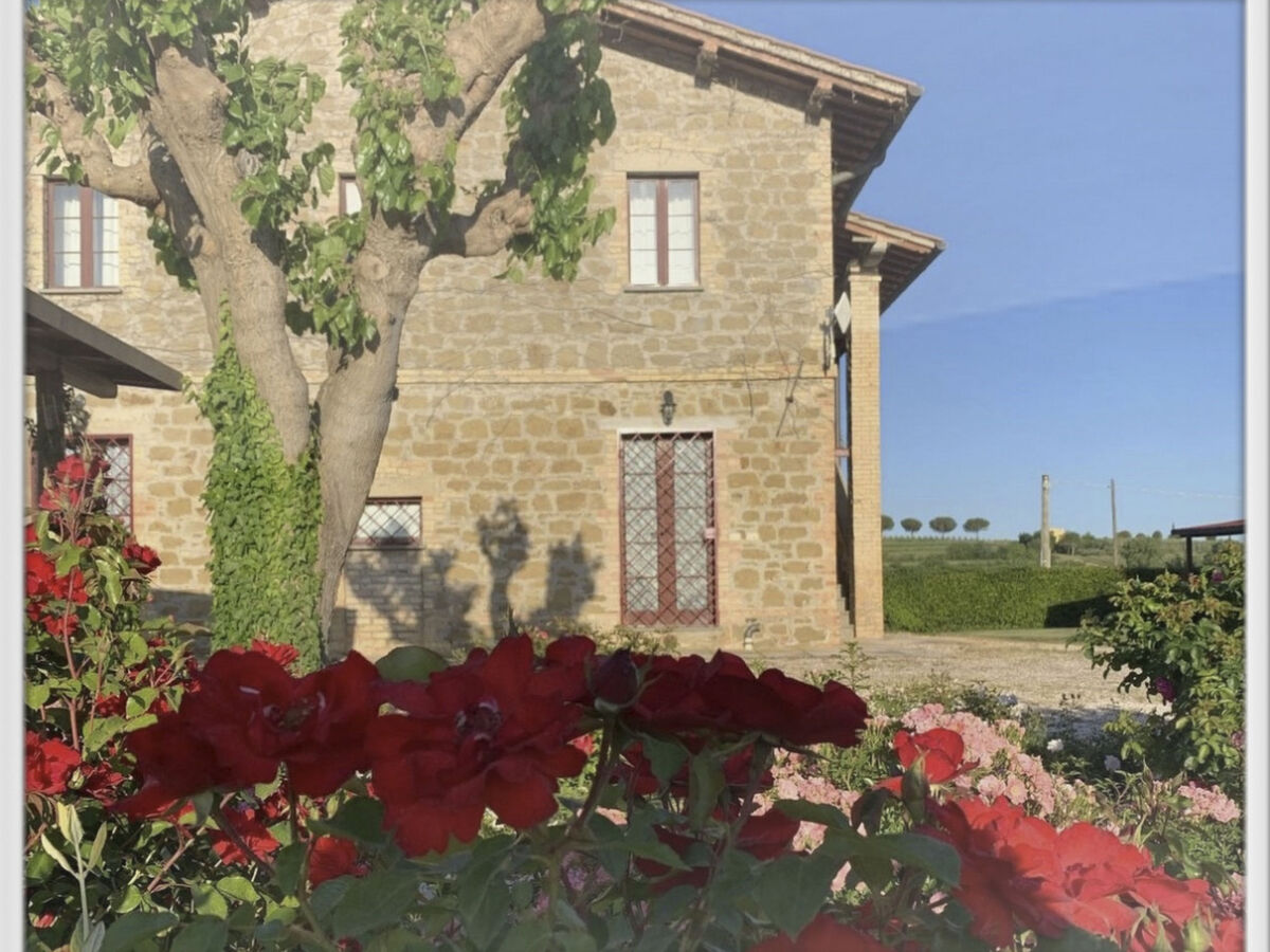 Appartement 5 pers. à Torgiano avec piscine et jardin privé - Photo 84