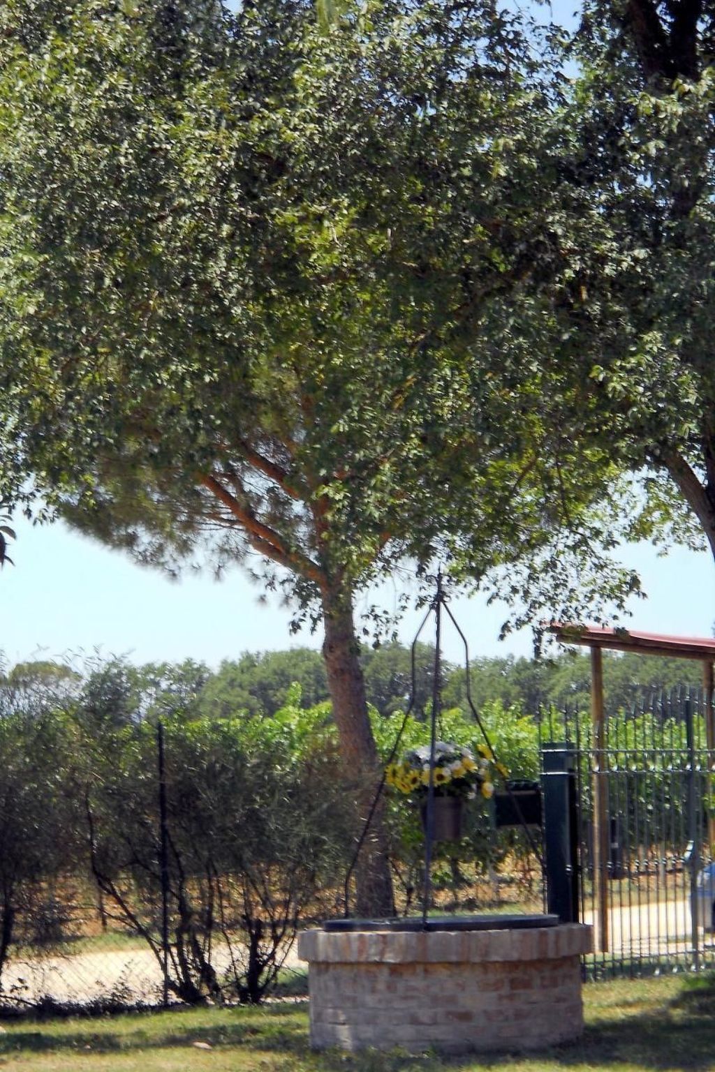 Nido, maison de charme dans un vignoble historique - Photo 14