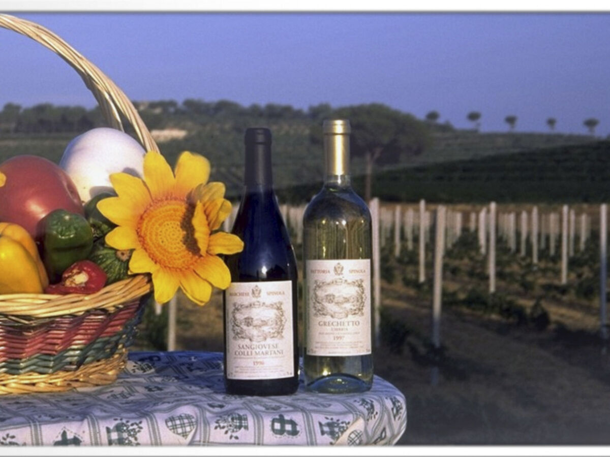 Nido, maison de charme dans un vignoble historique - Photo 47