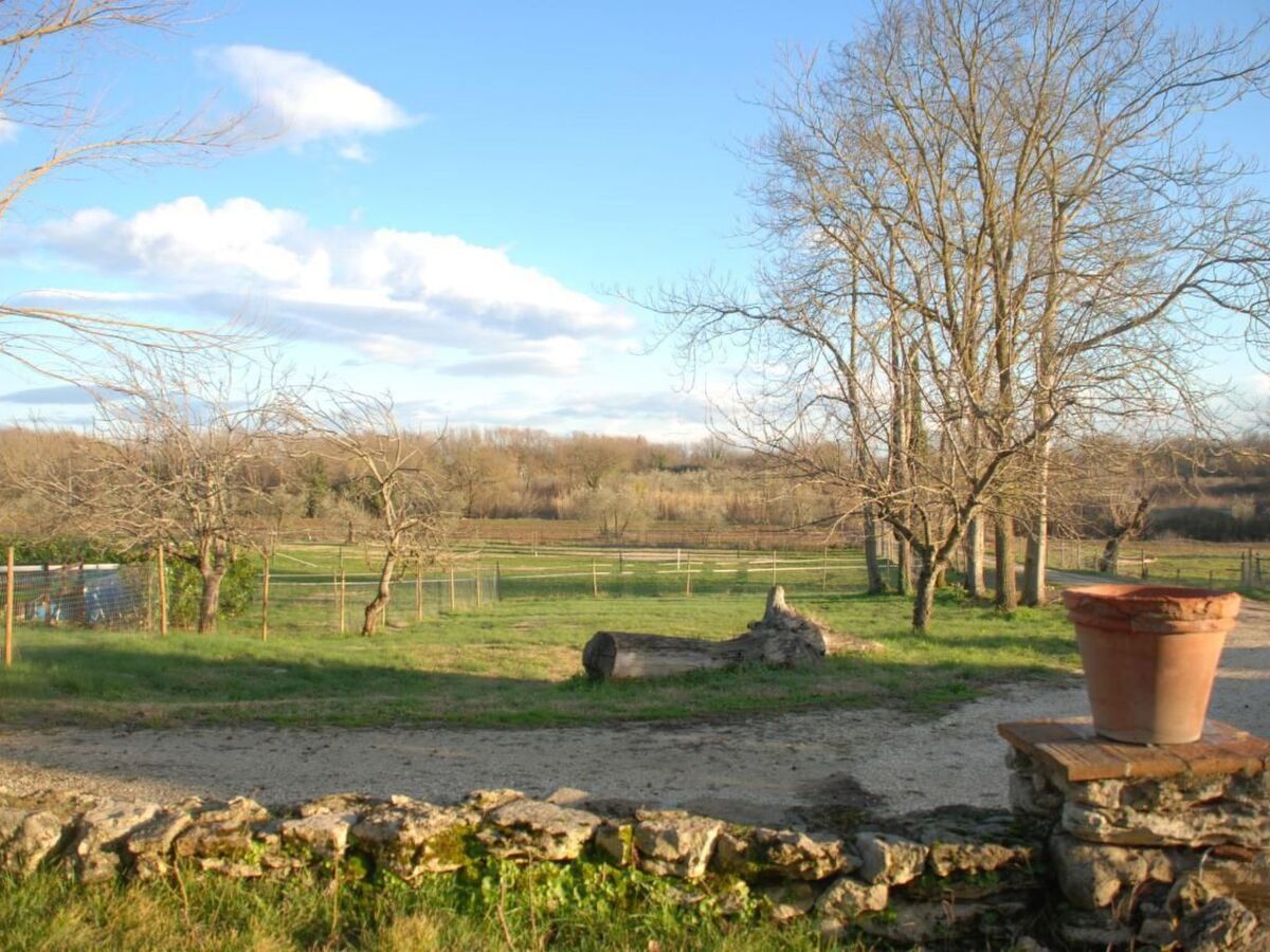Appartement 6 pers. à l'agritourisme Podere Conte Ràcani - Photo 19