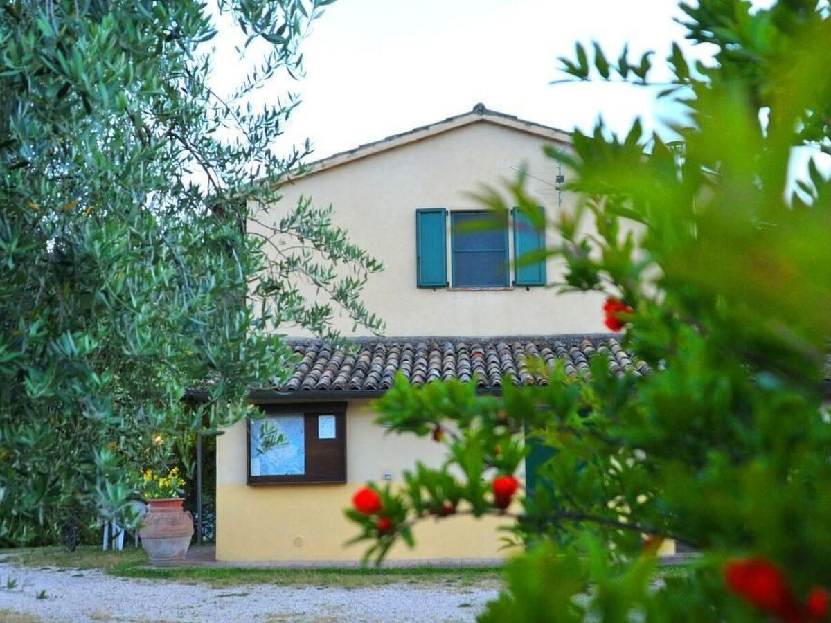 Appartement en agritourisme avec piscine privée à Bevagna - Photo 17